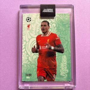 DARWIN NUÑEZ TTF IN BLOOM 33/99