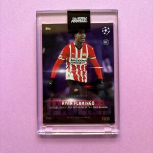 RYAN FLAMINGO 13/25 TTF TOTAL PERFORMERS 2024/2025