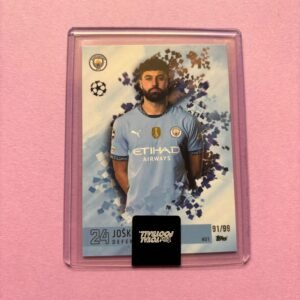 Joško Gvardiol 91/99 Base Ttf Base Set 2024/2025